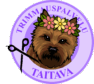 Trimmauspalvelu Taitava